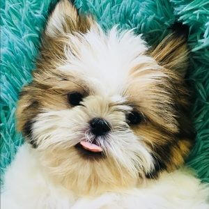 Meet your Posher, Brad